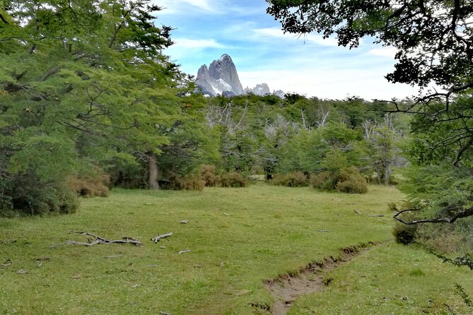 El Chalten: Full Day Trekking to Loma del Pliegue Tumbado - Ancient Fossils Above the Tree Line