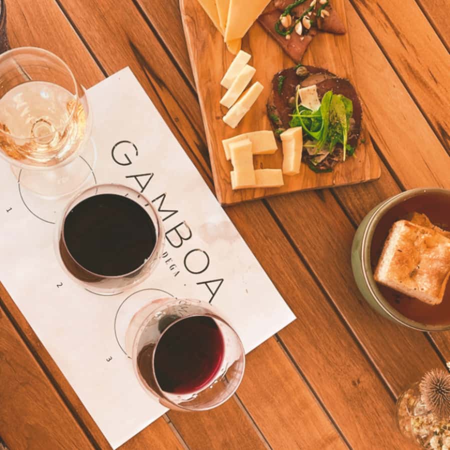 Enjoy a Rural Experience in a Vineyard near Buenos Aires - Leaving Buenos Aires for Campana