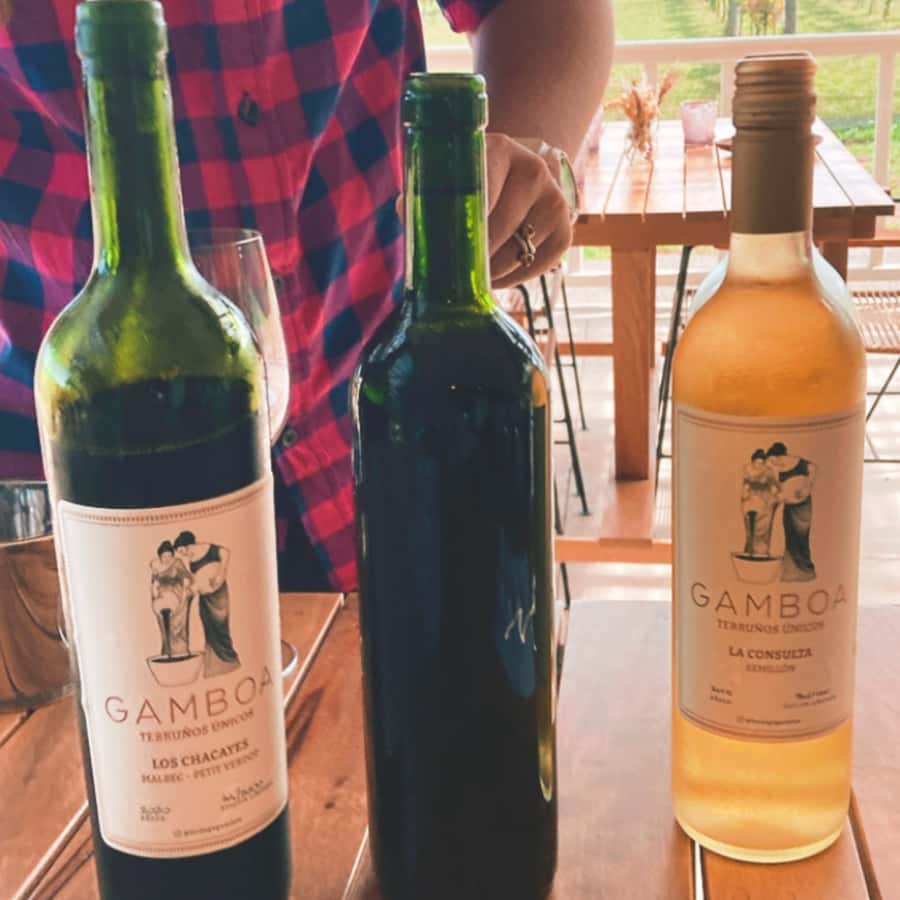Enjoy a Rural Experience in a Vineyard near Buenos Aires - Walking the vines and learning the wine process