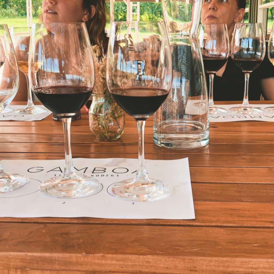 Enjoy a Rural Experience in a Vineyard near Buenos Aires - What the $264 price really covers