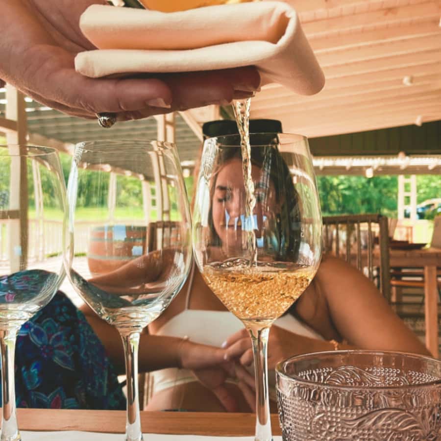 Enjoy a Rural Experience in a Vineyard near Buenos Aires - Who will enjoy this rural day trip