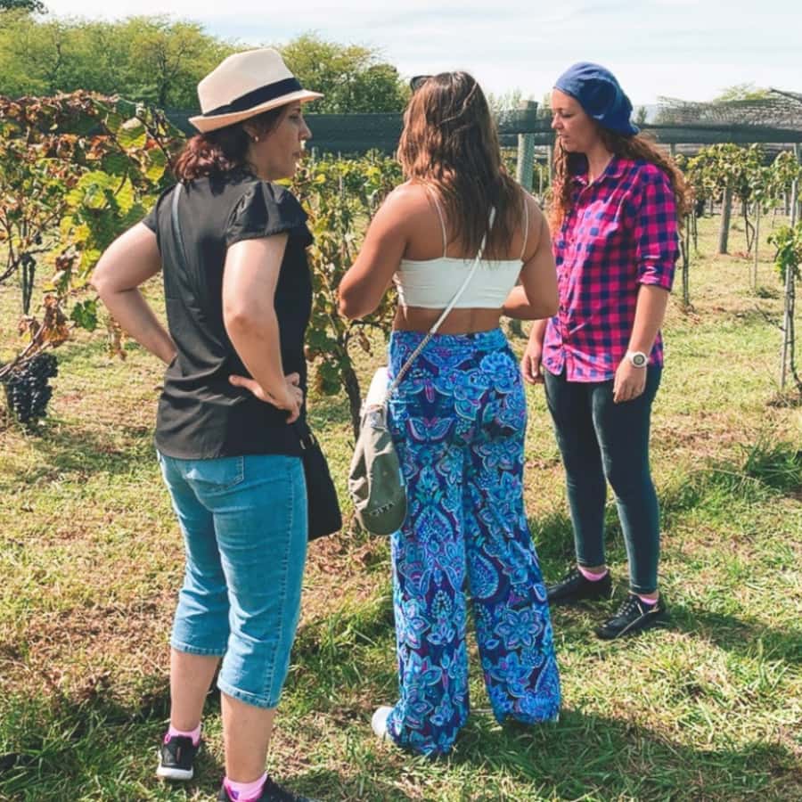 Enjoy a Rural Experience in a Vineyard near Buenos Aires - Small details that improve the day