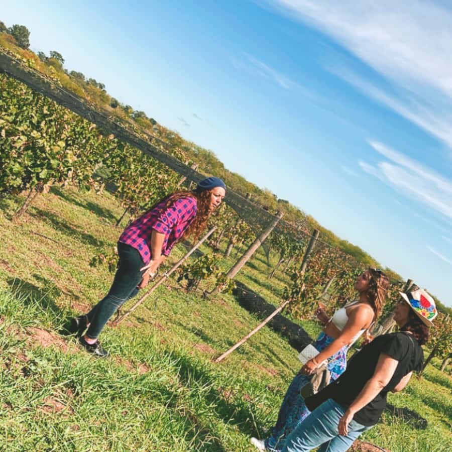 Enjoy a Rural Experience in a Vineyard near Buenos Aires - Arriving at Casa Gamboa’s five hectares
