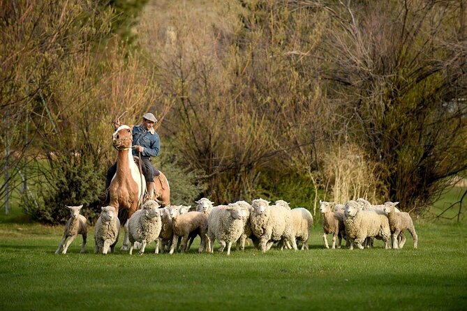 Estancia 25 de Mayo Experience with Dinner and Horseback Riding - Arriving at Estancia 25 de Mayo from El Calafate