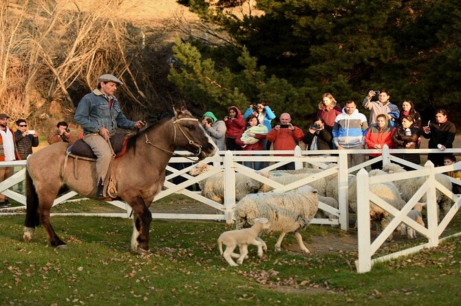 Estancia 25 de Mayo Experience with Dinner and Horseback Riding - Sheep wool, farm animals, and hands-on moments