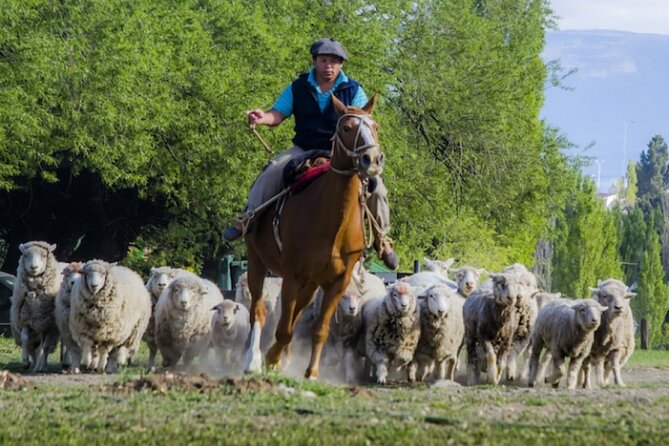 Estancia 25 de Mayo Experience with Dinner and Horseback Riding - A Patagonian dinner built around lamb