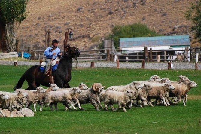 Estancia 25 de Mayo Experience with Dinner and Horseback Riding - Is $210 a fair price for four hours?