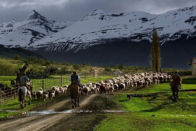Estancia 25 de Mayo Experience with Dinner and Horseback Riding - Practical planning before you book