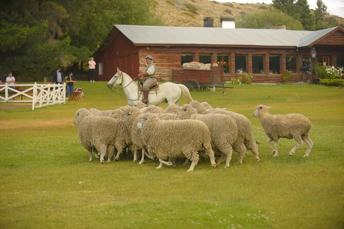 Estancia 25 de Mayo in El Calafate - PM visit with dinner - Walking beside the stream and old machinery