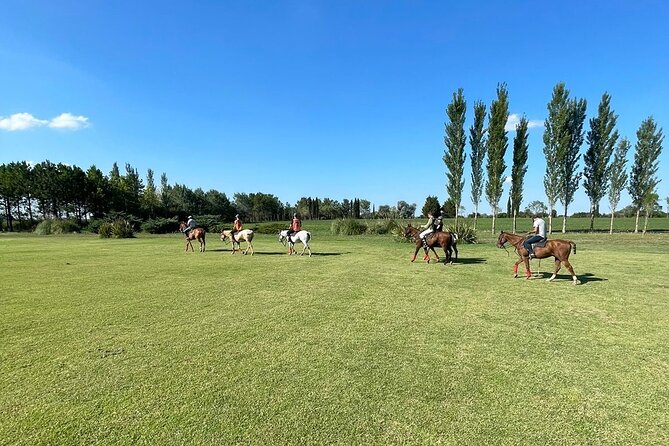 Estancia Day in Buenos Aires! - Choose between horseback riding and a carriage ride