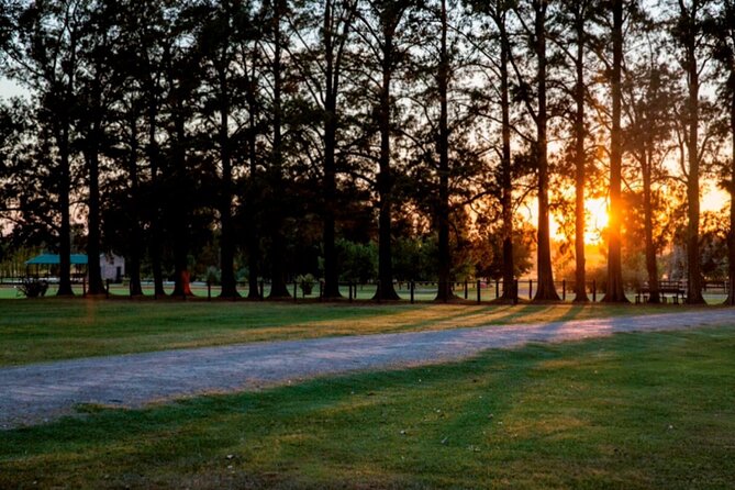 Estancia Day in Buenos Aires! - Who will enjoy this estancia day most