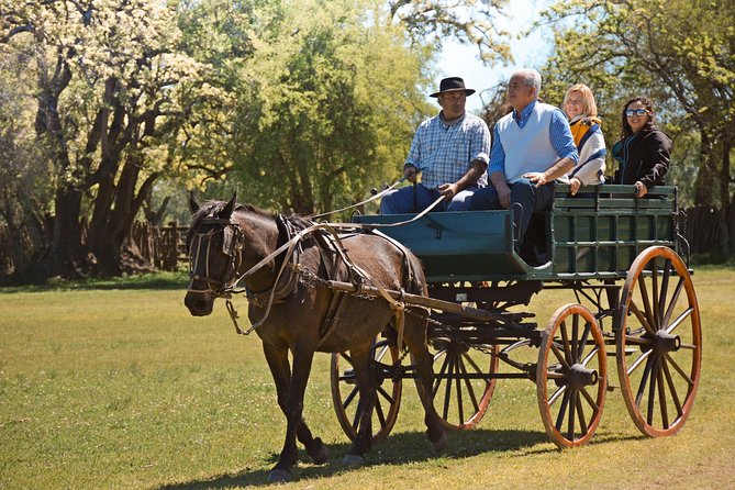 Estancia Gaucho Day at Buenos Aires - Horseback riding for beginners and children
