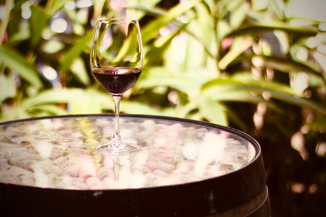 Exclusive Malbec Wine Tasting in Buenos Aires - The cheese plate: useful support, not dinner