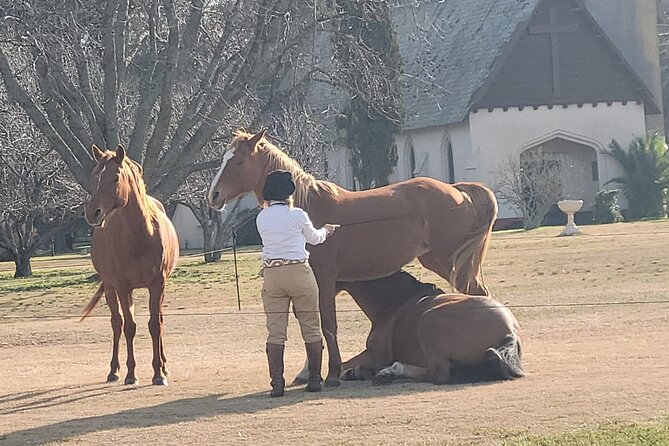 Experience Estancia La Candelaria from Buenos Aires. - From Buenos Aires Hotels to the Open Country