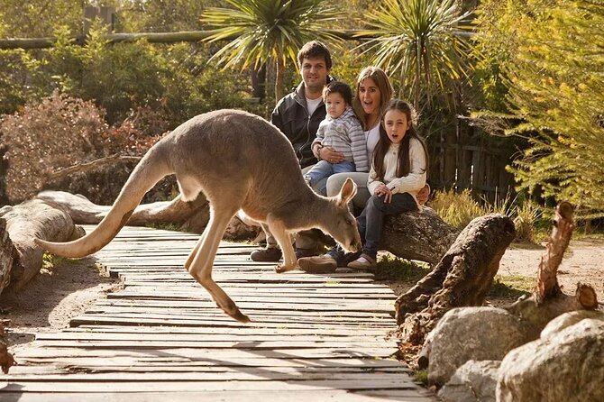 Explore Temaiken: Biopark Tour Experience - Key points to know before booking