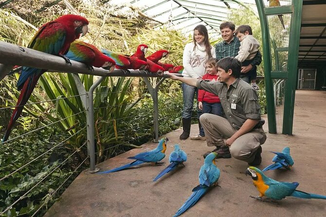 Explore Temaiken: Biopark Tour Experience - Five hours inside the park: enough time or too much?