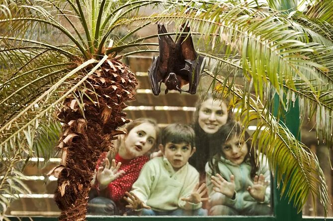 Explore Temaiken: Biopark Tour Experience - What the $152.91 price really buys