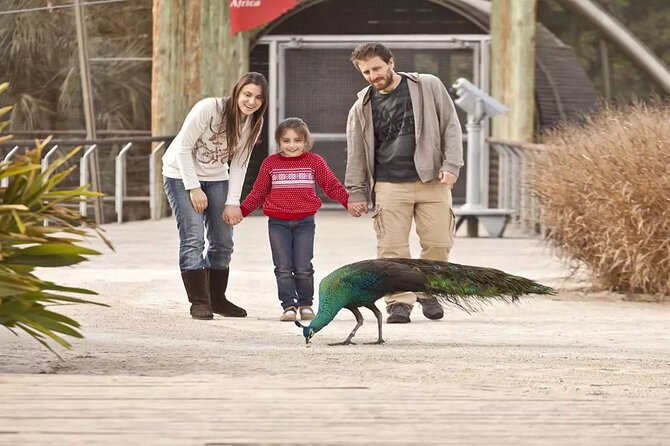 Explore Temaiken: Biopark Tour Experience - The 9 a.m. pickup from central Buenos Aires