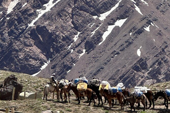 Explore the Andes: Private Tour with Breakfast and Regional Lunch - Lunch at El Rancho in Uspallata