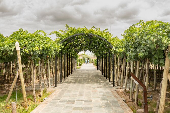 Exploring El Enemigo & Casa Vigil / Meet Mendoza´s Wine Icon - Is $86 a fair price?