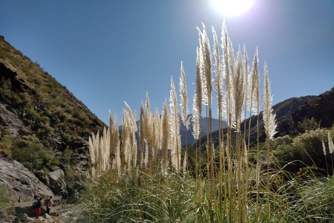 Family Trekking + Rappelling - Potrerillos: "Cascada del Angel" - The 90-minute walk to Cascada del Angel