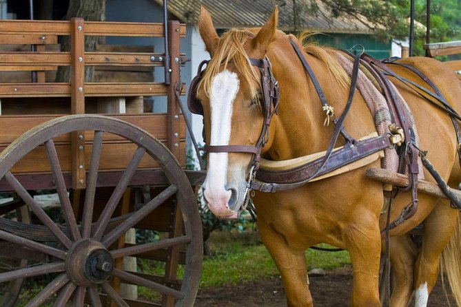 Fiesta Gaucha and Day Ranch in Santa Susana Ranch - Folk music, dancing, and tango after lunch