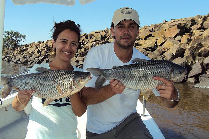 Fishing trips in Buenos Aires, Argentina - Chasing golden dorado near Buenos Aires