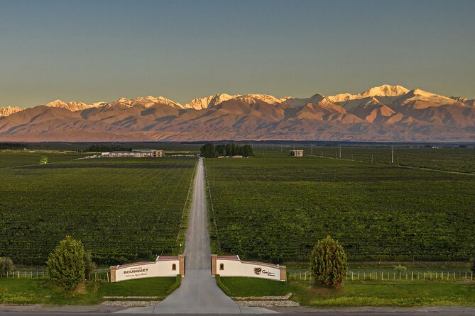 Flavors and Views of Uco Valley and Cordón Del Plata - Key Points at a Glance