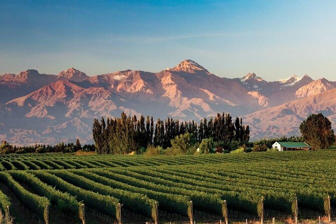 Flavors and Views of Uco Valley and Cordón Del Plata - Why This Mendoza Day Trip Works