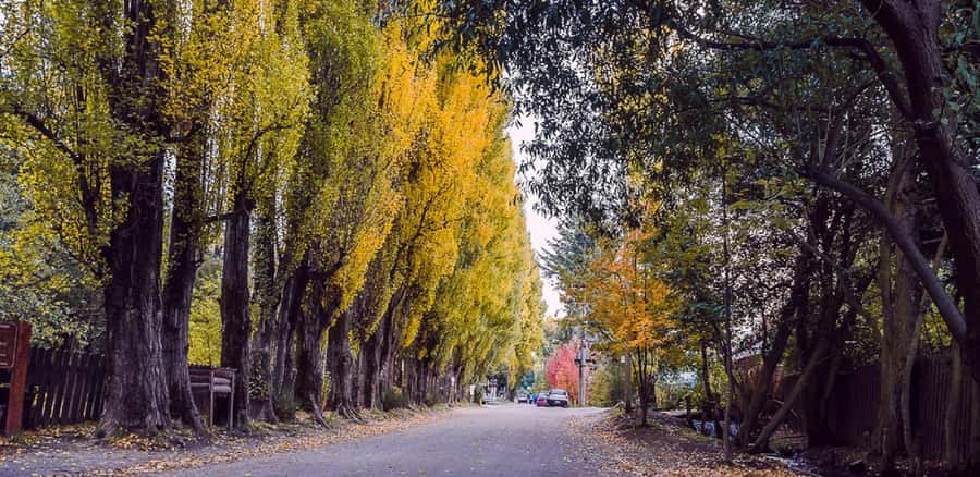 From Bariloche: Chico Circuit & Colonia Suiza Tour - Food, comfort, and the practical value of $66
