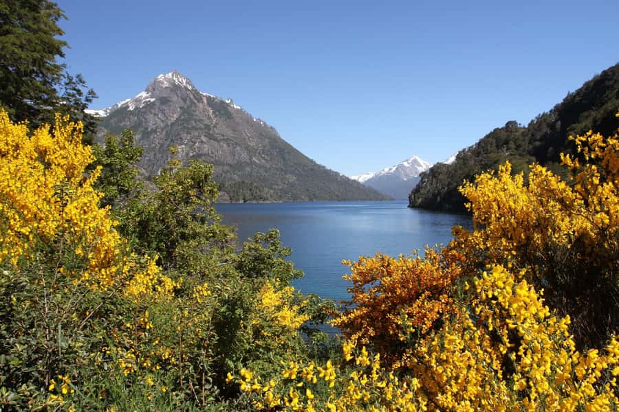 From Bariloche: Half-Day Circuito Chico Sightseeing Tour - Bahía López and the Panoramic Point