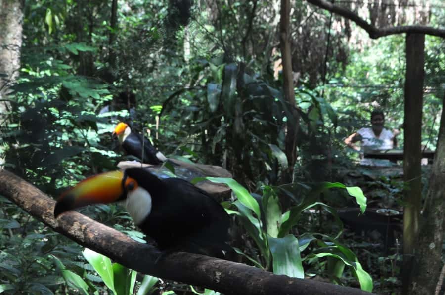 From Buenos Aires: 3-Day Iguazu Falls Tour with Airfare - Leaving Buenos Aires and arriving at Iguazu