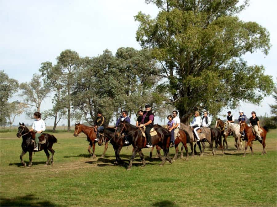 From Buenos Aires: Estancia Don Silvano Tour with Lunch. - From Italian immigrant roots to a fourth-generation estancia