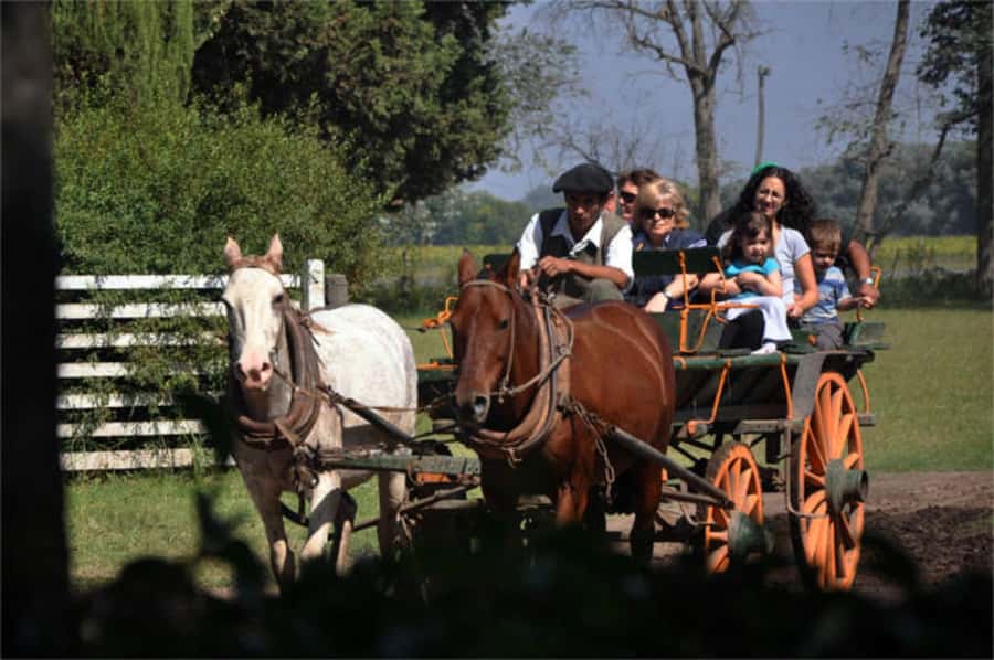 From Buenos Aires: Estancia Don Silvano Tour with Lunch. - Arriving at Estancia Don Silvano