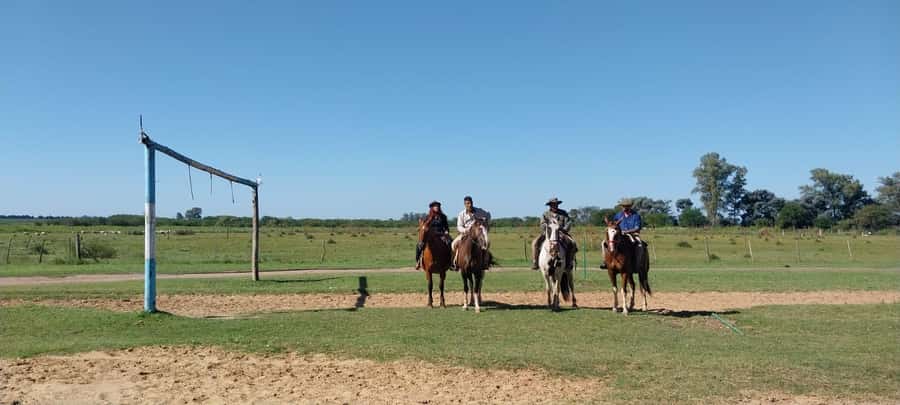 From Buenos Aires: Estancia Don Silvano Tour with Lunch. - The two-hour Creole lunch