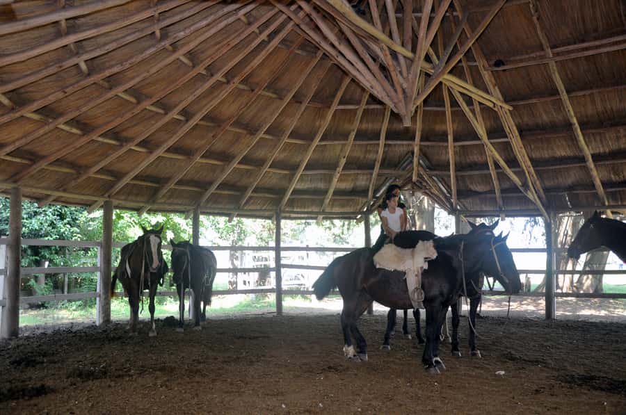 From Buenos Aires: Estancia Don Silvano Tour with Lunch. - Practical details that affect your day