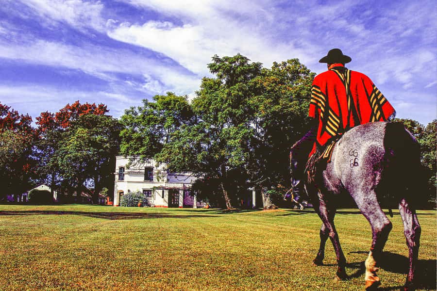 From Buenos Aires: Gaucho and Ranch Day Tour - Key things to know before booking