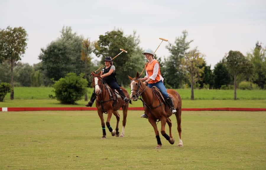 From Buenos Aires: Polo Match, Lesson, and BBQ Day-Trip - At the pony line with the polo horses