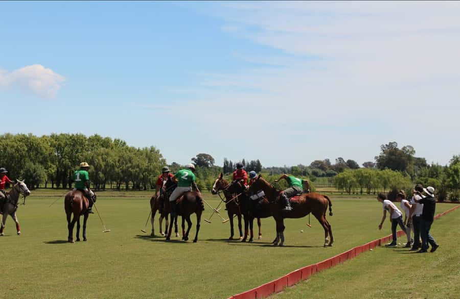 From Buenos Aires: Polo Match, Lesson, and BBQ Day-Trip - Empanadas, wine, and your first look at polo