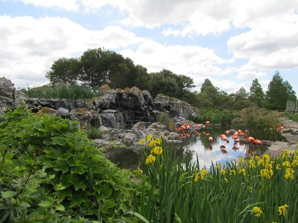 From Buenos Aires: Temaiken Biopark with Transfer and Tickets - Why Temaikèn makes a good escape from Buenos Aires