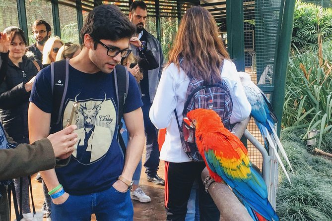 From Buenos Aires: Temaiken Biopark with Transfer and Tickets - Inside Temaikèn: four hours among animals