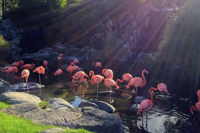From Buenos Aires: Temaiken Biopark with Transfer and Tickets - What the $73 price really covers