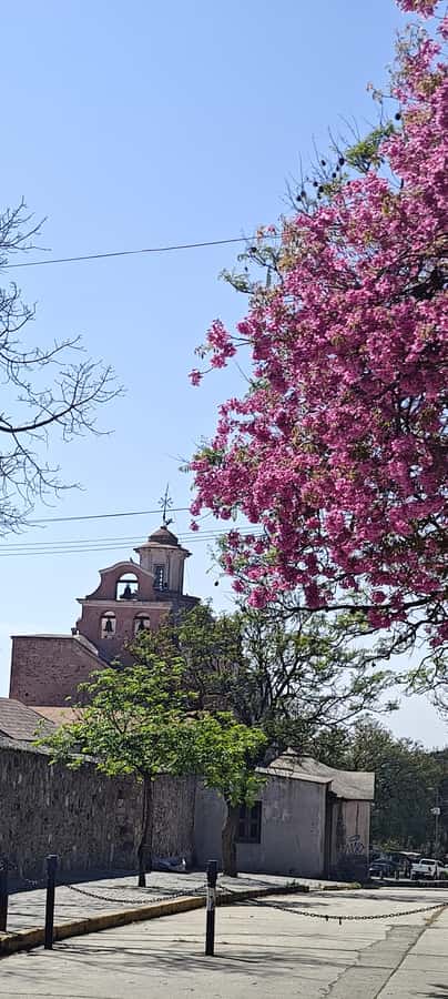 From Cordoba: Alta Gracia HalfDay Tour - Manuel de Falla’s house and Alta Gracia’s music connection