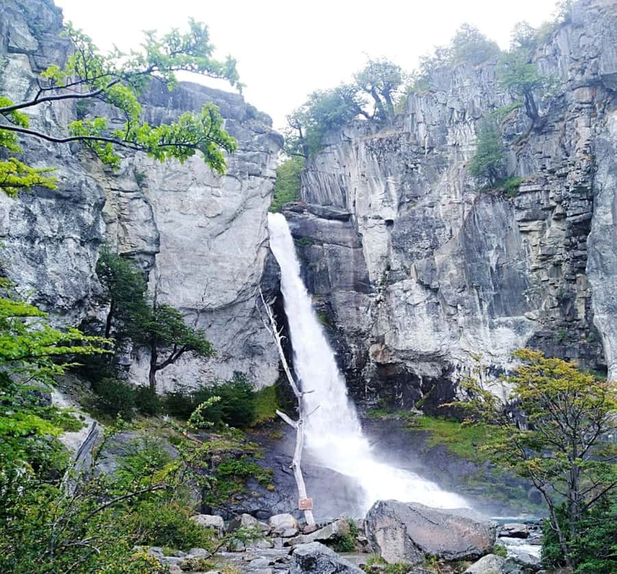 From El Calafate: El Chalten Full-Day Tour and Short Hike - Guides, language, and group comfort