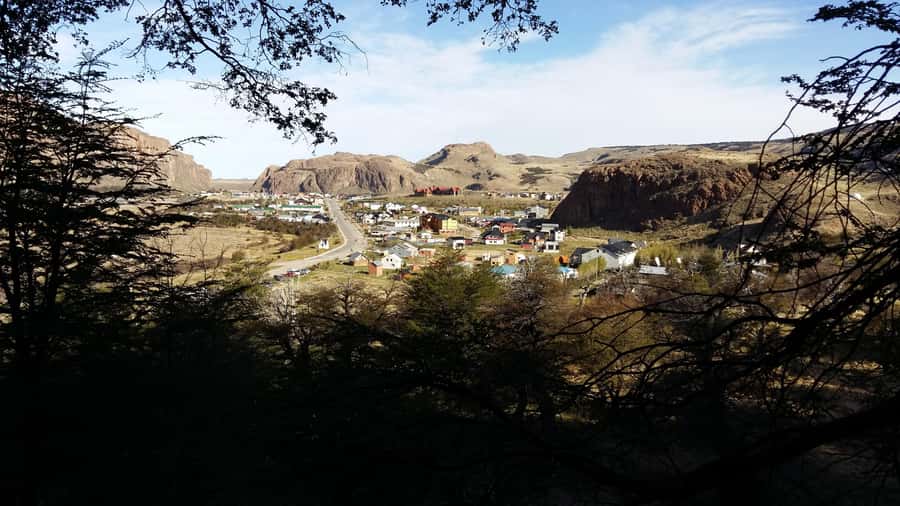 From El Calafate: Full-Day Tour to El Chaltén - Transport, guides, and the pace of the day