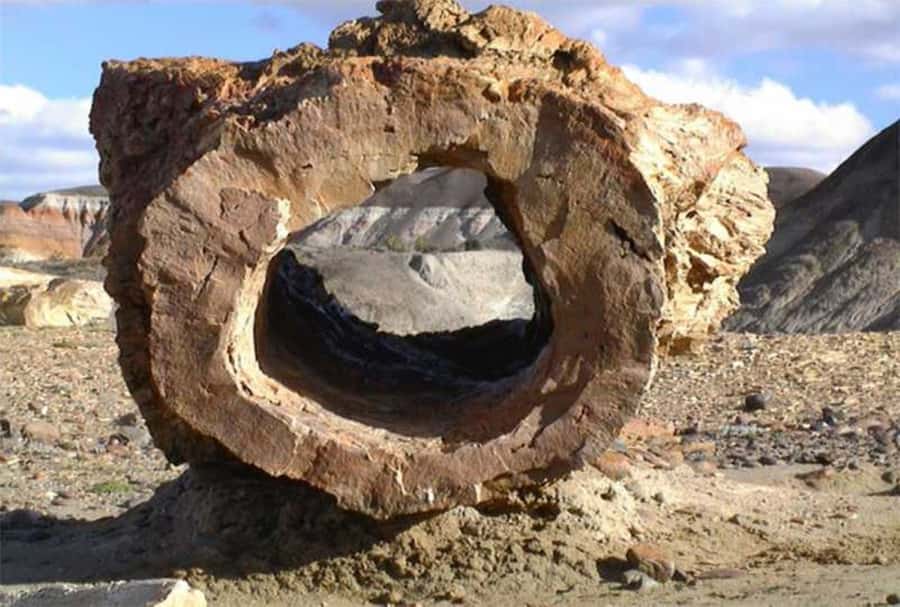 From El Calafate: La Leona Petrified Forest Day Trip - Timing, weather, and what to pack