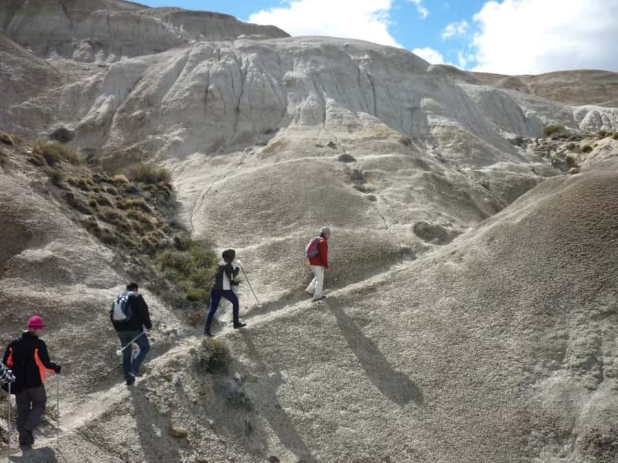 From El Calafate: La Leona Petrified Forest Day Trip - Arriving at Estancia Santa Teresita