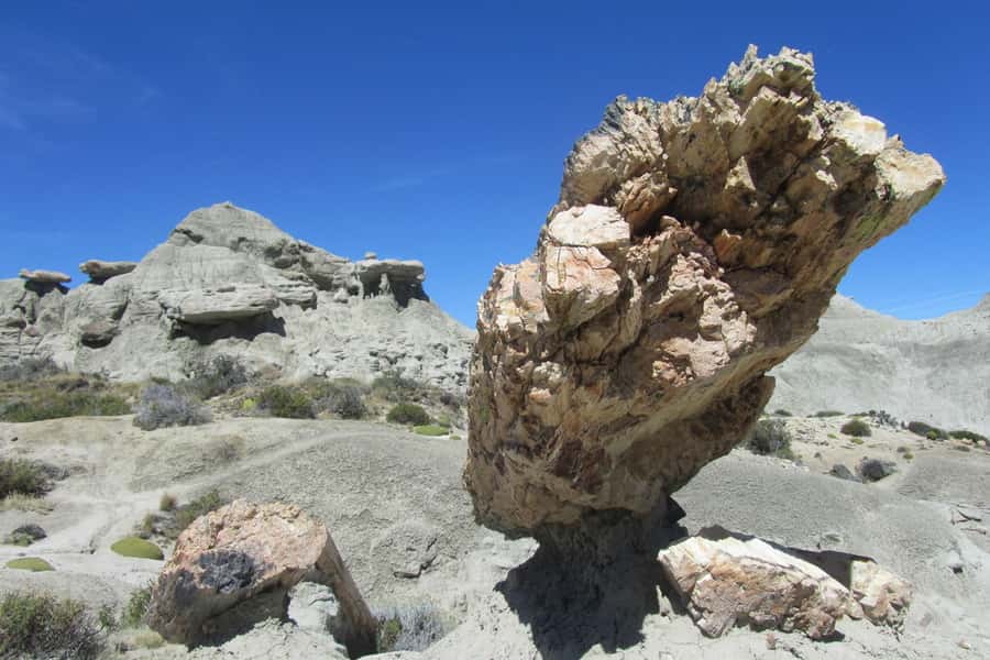 From El Calafate: La Leona Petrified Forest Day Trip - How demanding is the walking?