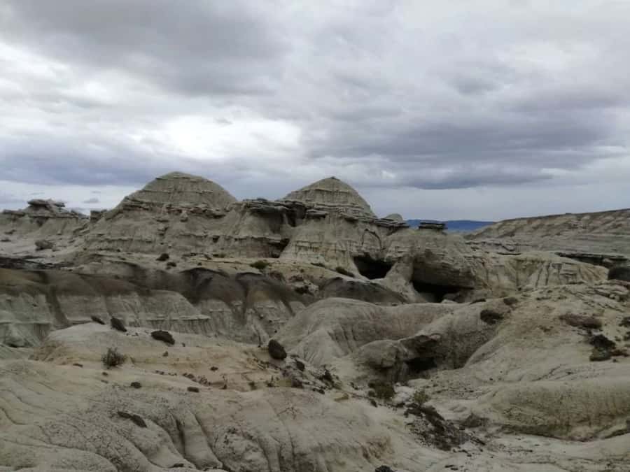 From El Calafate: La Leona Petrified Forest Day Trip - Is $220 a fair price?
