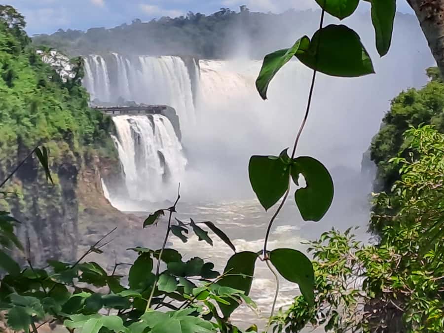 From Foz do Iguaçu: Tour to Argentinian Falls - Five hours inside the park
